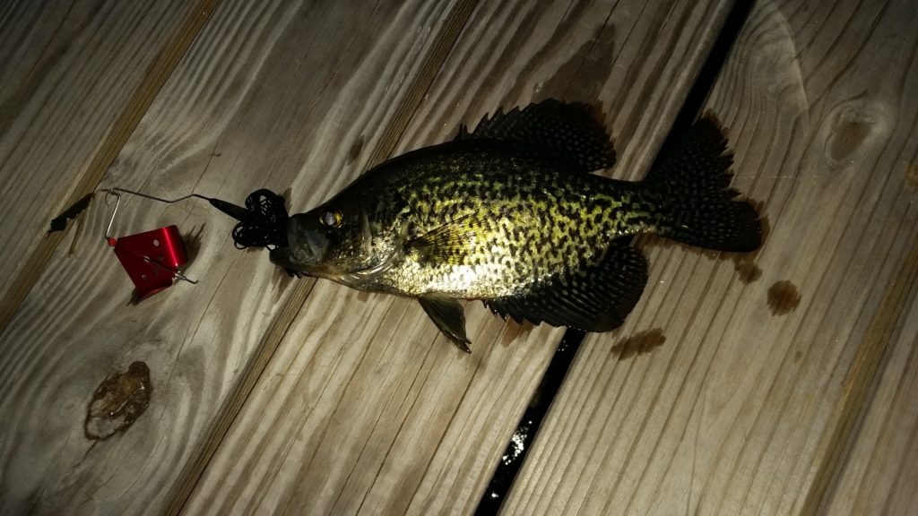 Crappie Fishing
