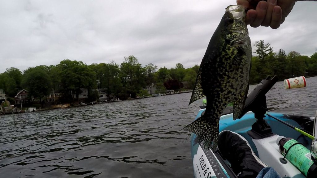 Crappie from kayak
